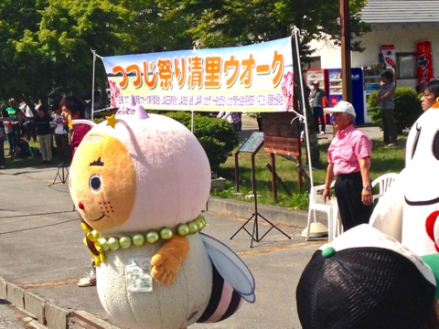 82c282c282b68dd582e8.jpg